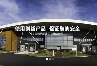 上海建網(wǎng)站公司成功簽約法國(guó)代福中國(guó)，助力企業(yè)數(shù)字化升級(jí)